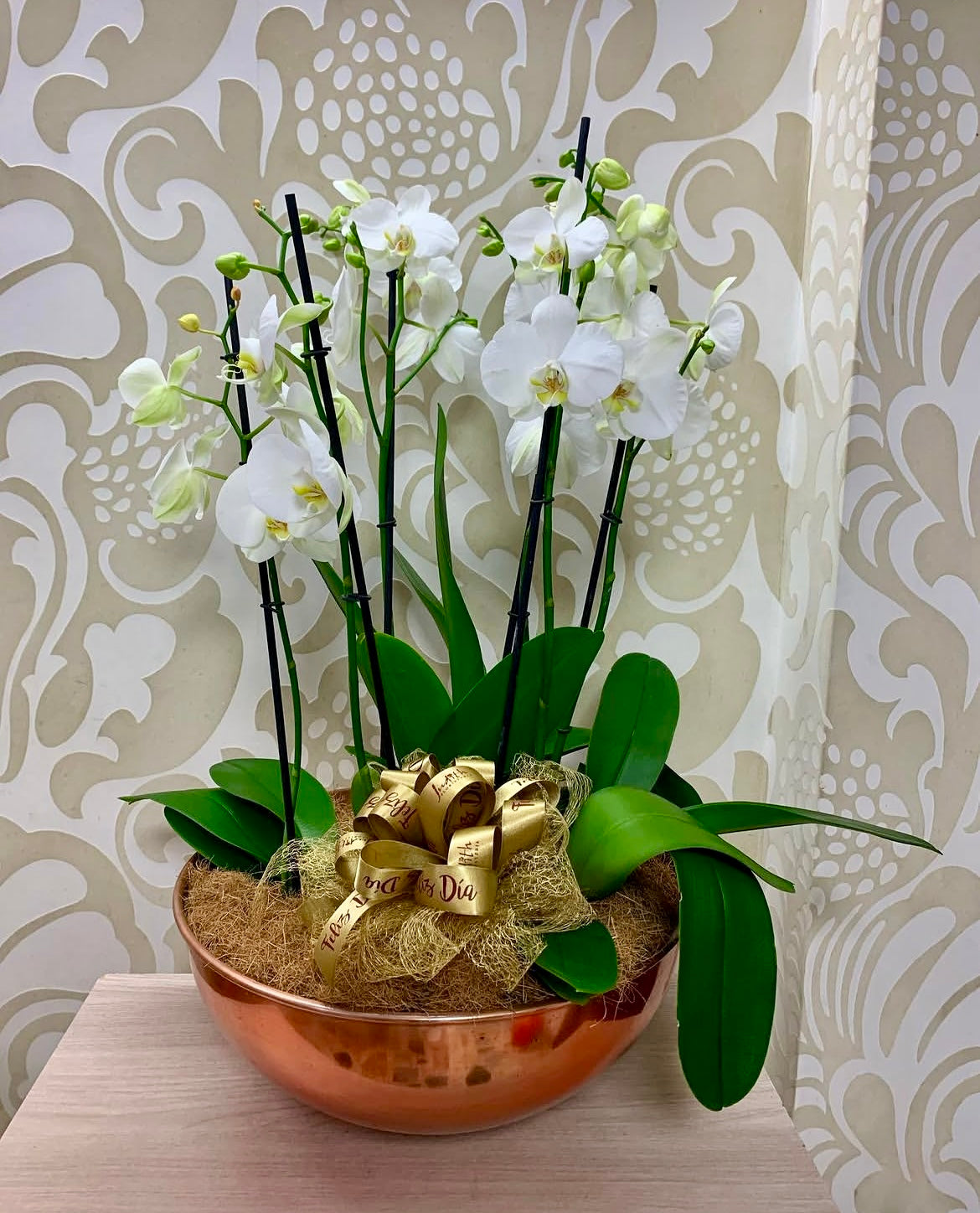 PN-03  Orquídeas premium XL