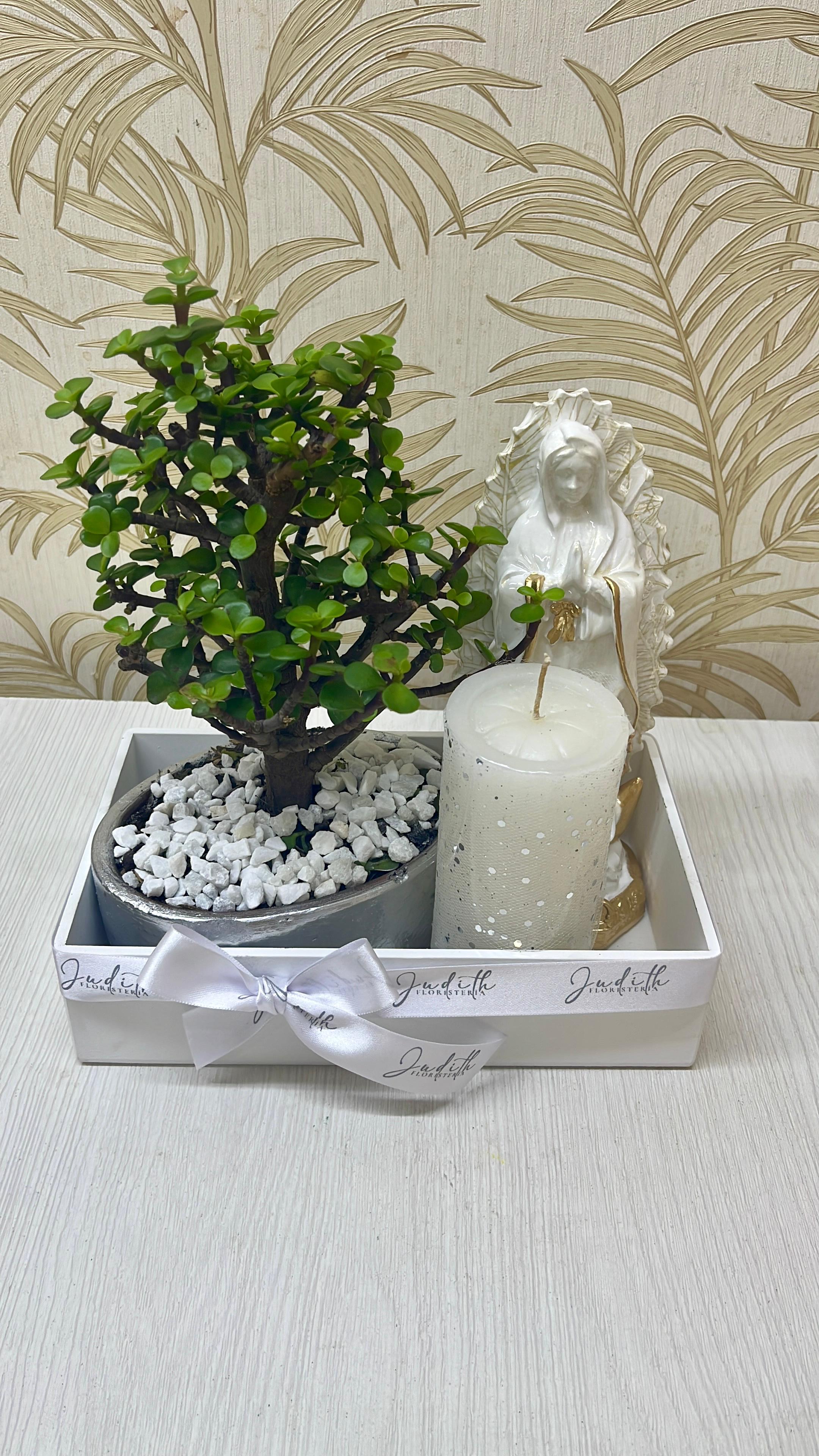 PN-07 Bonsái Natural con Imagen Religiosa y Vela para Condolencias