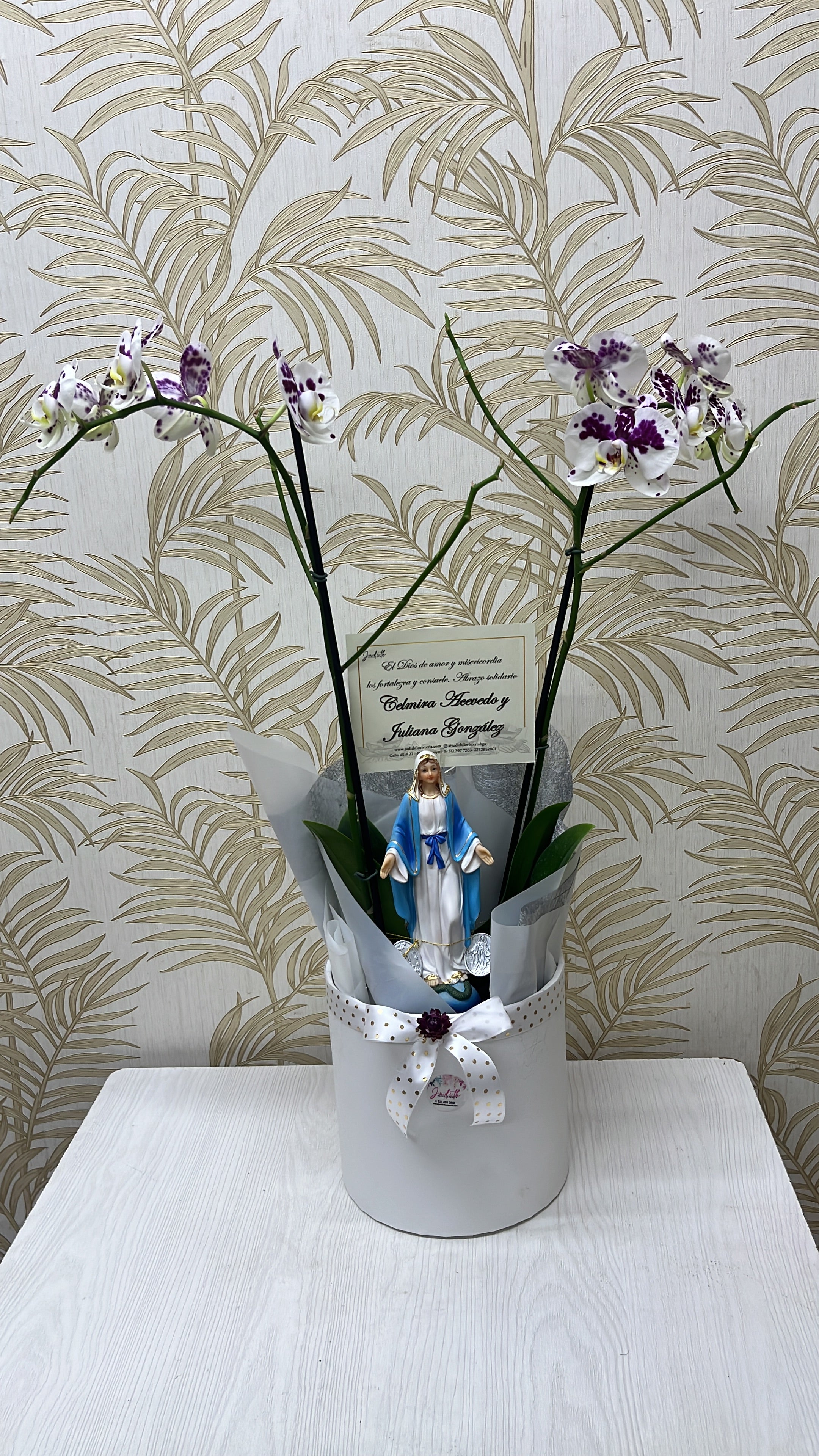 PN-05  Planta natural con imagen de la Virgen